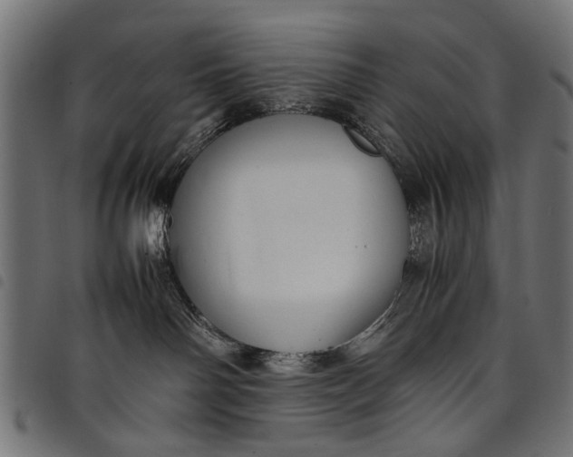 X0000097880142200803281232