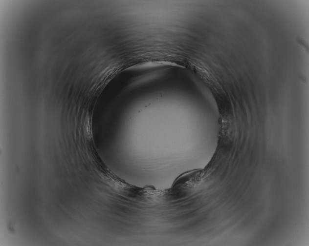 X0000097880143200803281232