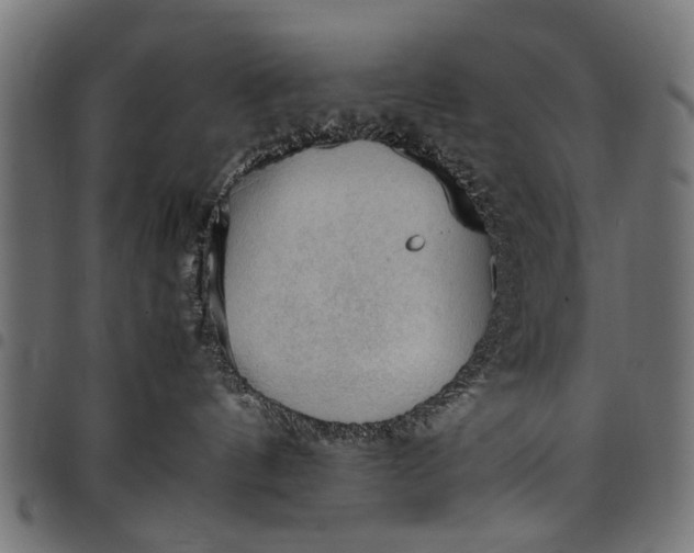 X0000097880144200803281232