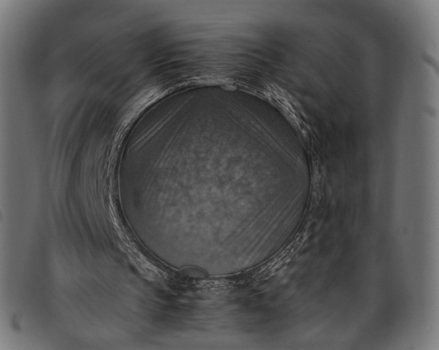 X0000097880145200803281231