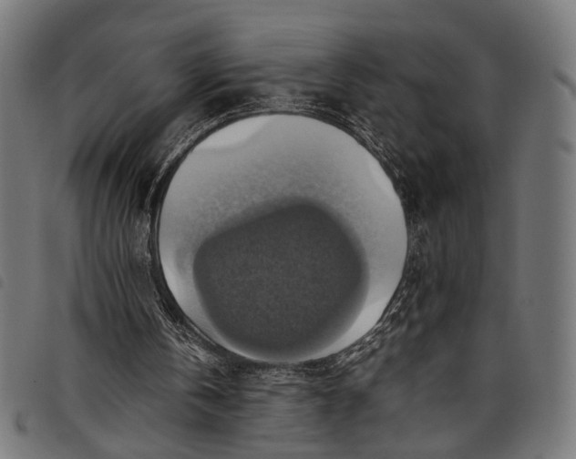 X0000097880146200803281231