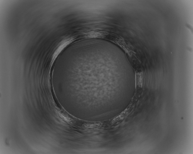 X0000097880147200803281231