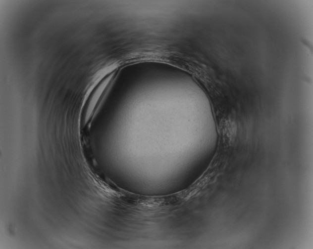 X0000097880148200803281231