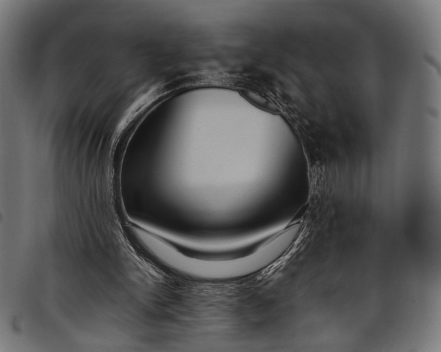 X0000097880150200803281231