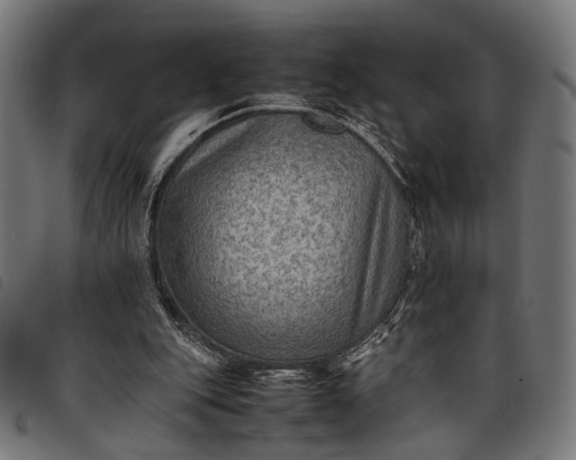 X0000097880151200803281231