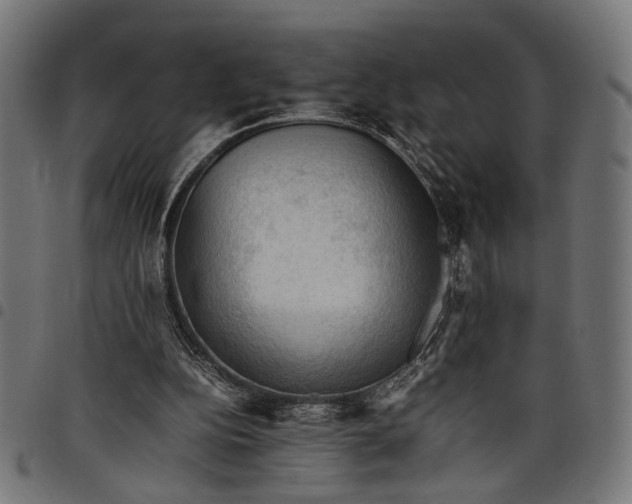 X0000097880152200803281231