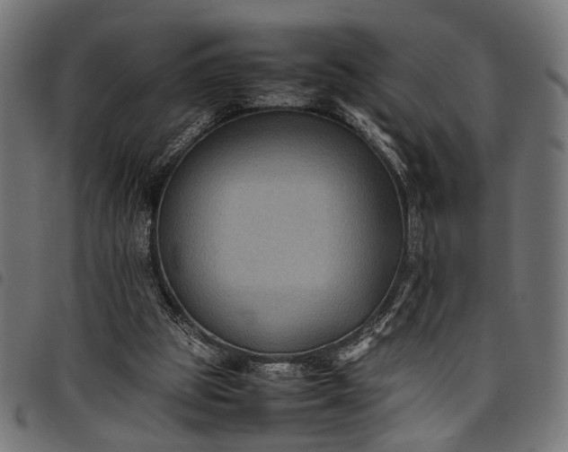 X0000097880153200803281231