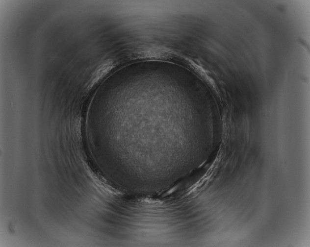 X0000097880154200803281231