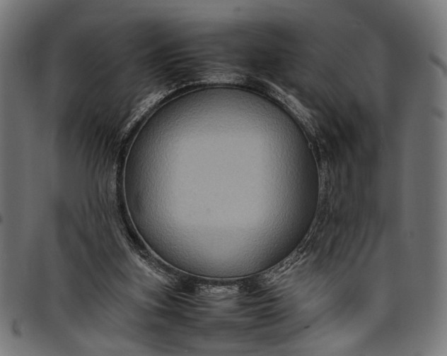 X0000097880155200803281231