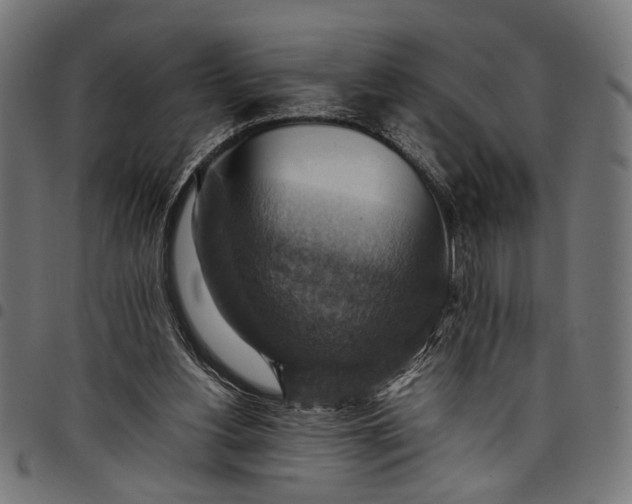 X0000097880156200803281231