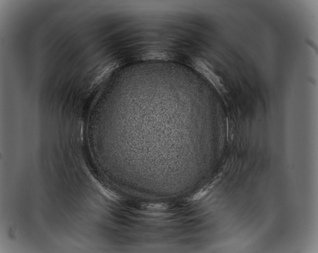 X0000097880157200803281231