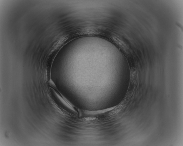 X0000097880158200803281231