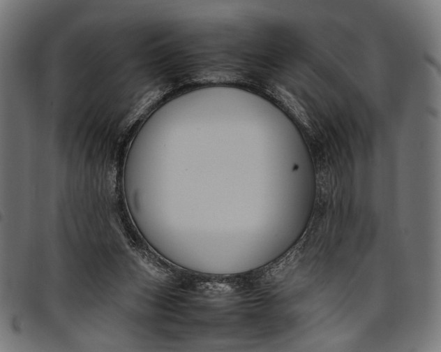 X0000097880159200803281231