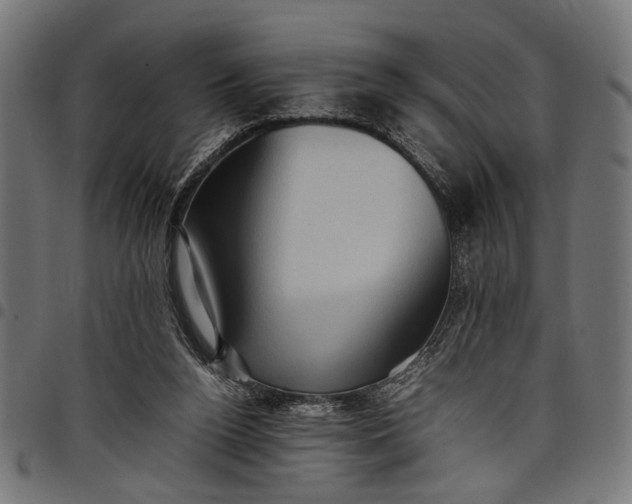 X0000097880160200803281231