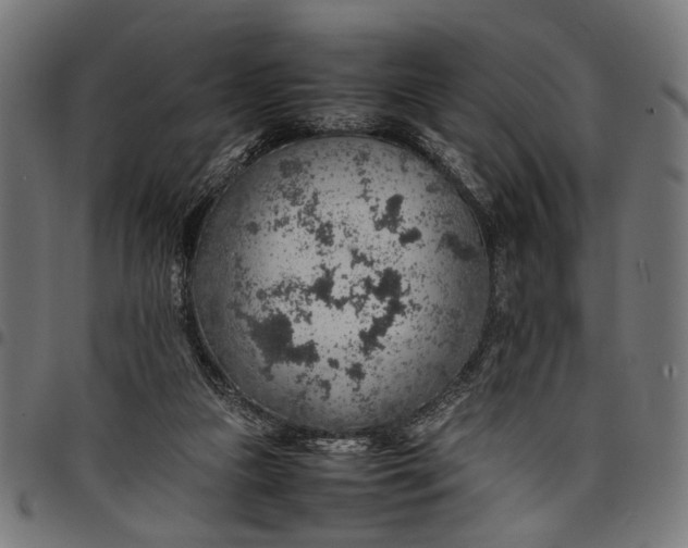 X0000097880161200803281231