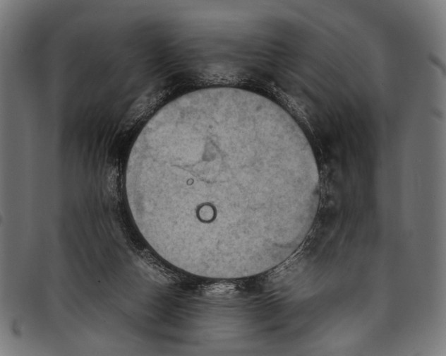 X0000097880162200803281231