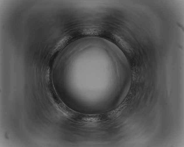 X0000097880163200803281231