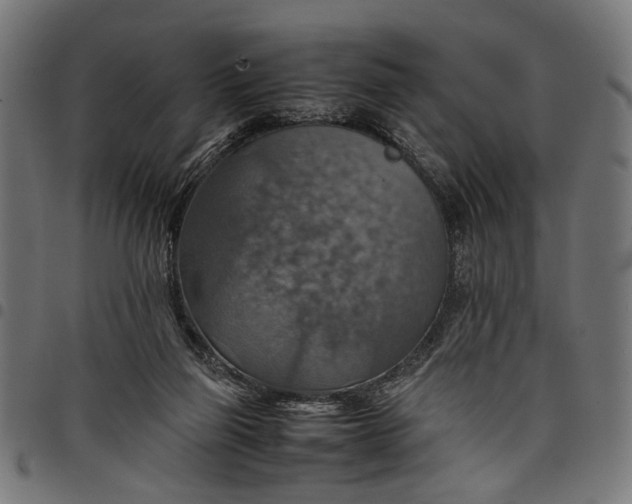 X0000097880165200803281231