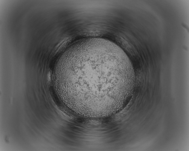 X0000097880166200803281231