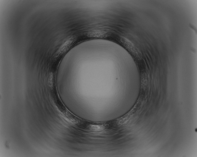 X0000097880167200803281231