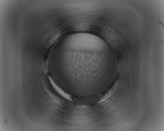 X0000097880168200803281231