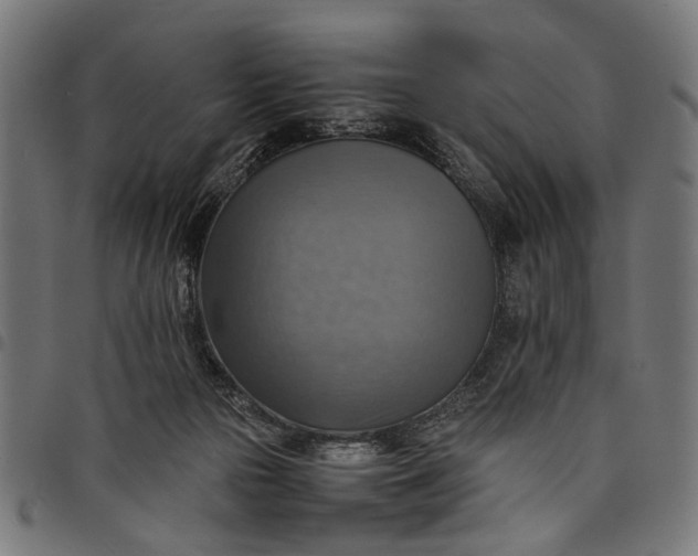 X0000097880169200803281231