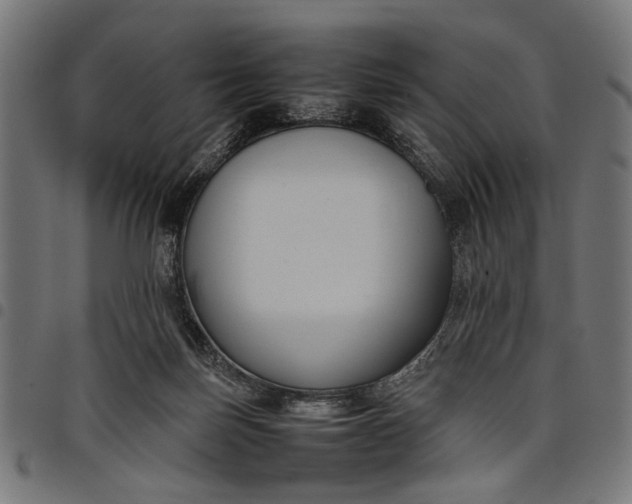 X0000097880171200803281231