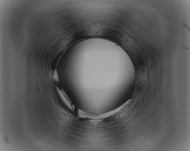 X0000097880172200803281231