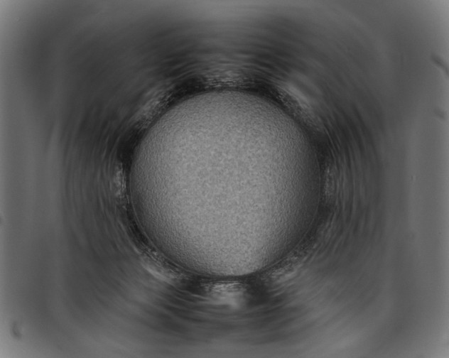 X0000097880173200803281231