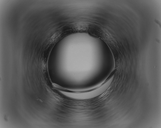 X0000097880176200803281231