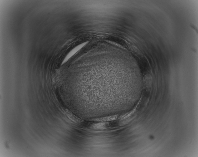 X0000097880178200803281231