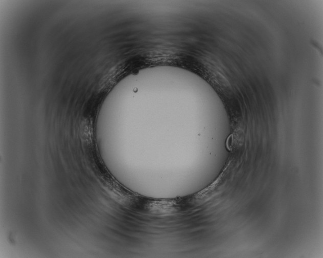 X0000097880179200803281231