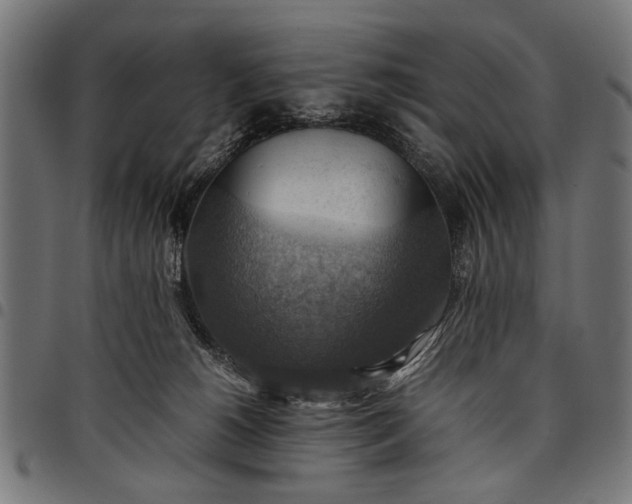 X0000097880180200803281231