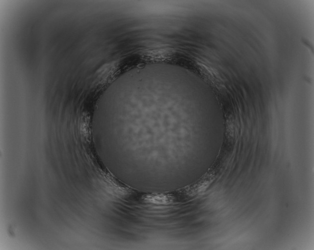 X0000097880181200803281231