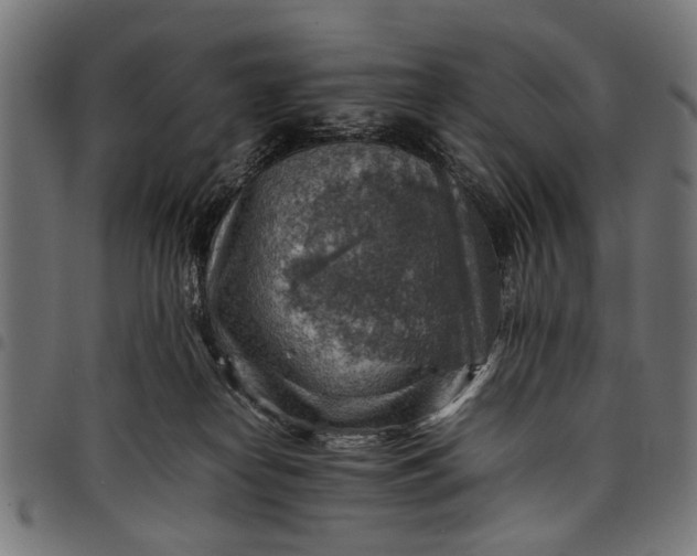 X0000097880182200803281231