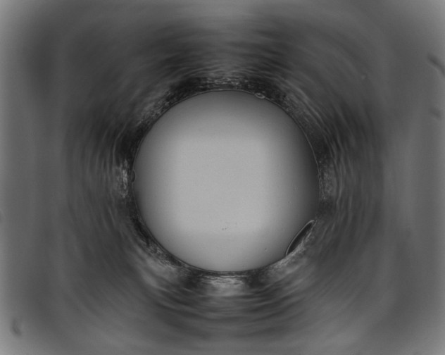 X0000097880183200803281231