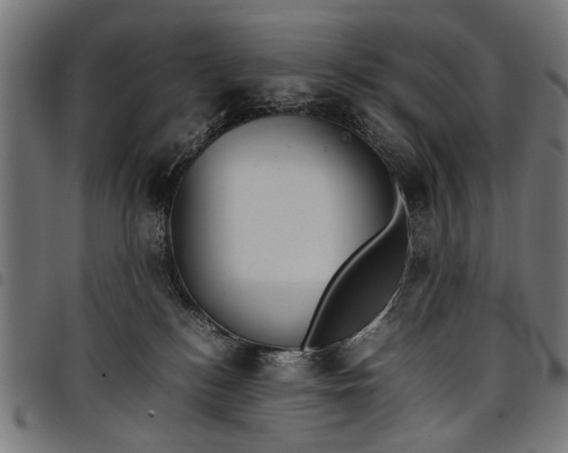 X0000097880184200803281231