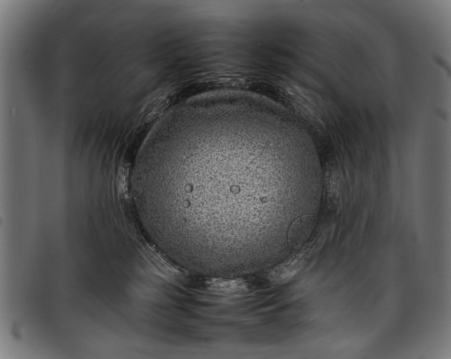 X0000097880185200803281231