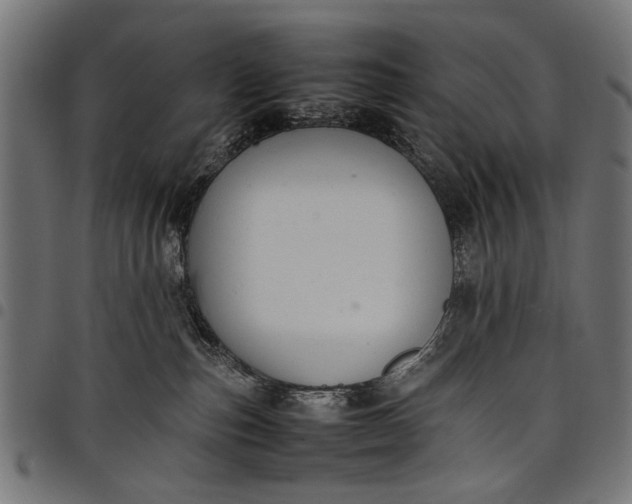 X0000097880187200803281231