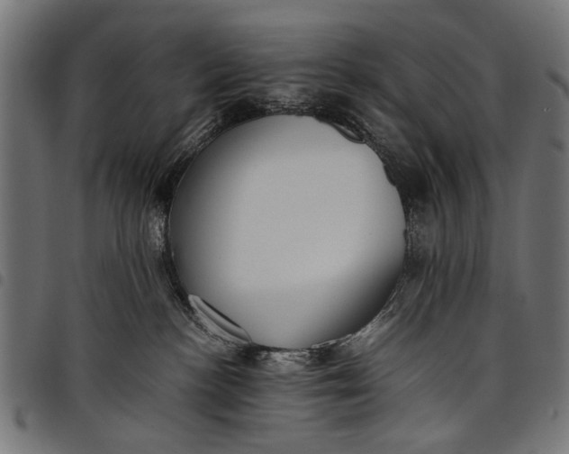 X0000097880188200803281231