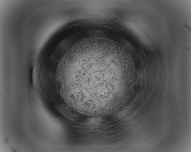 X0000097880189200803281231