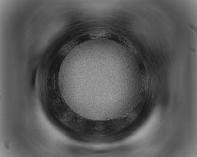 X0000097880191200803281231