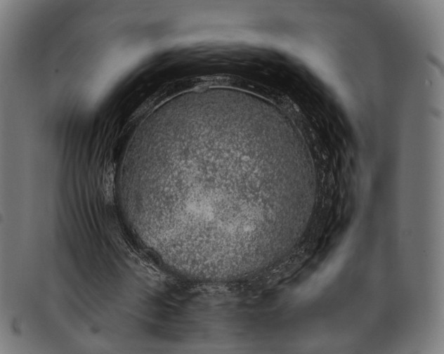 X0000097880194200803281231