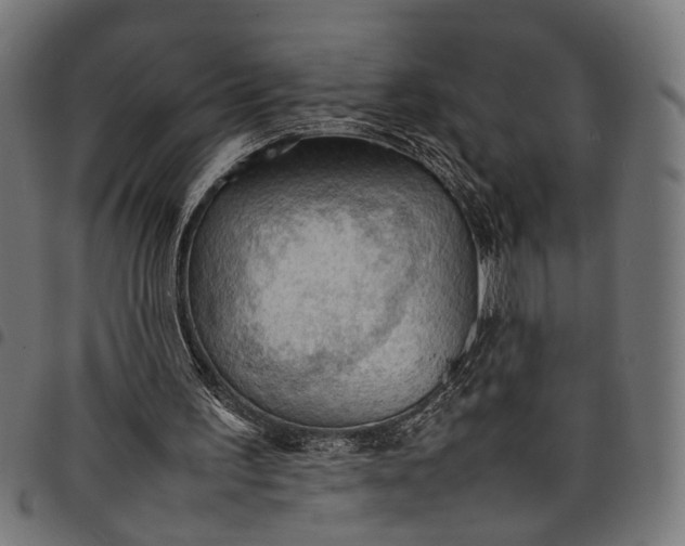 X0000097880195200803281231