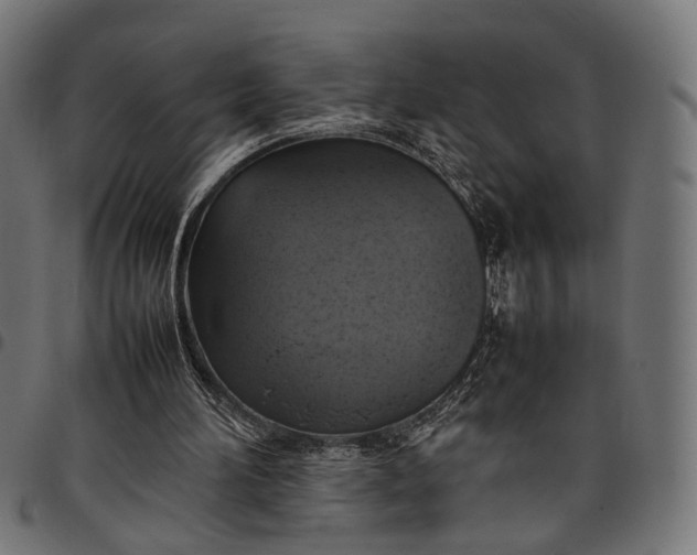 X0000097880196200803281231