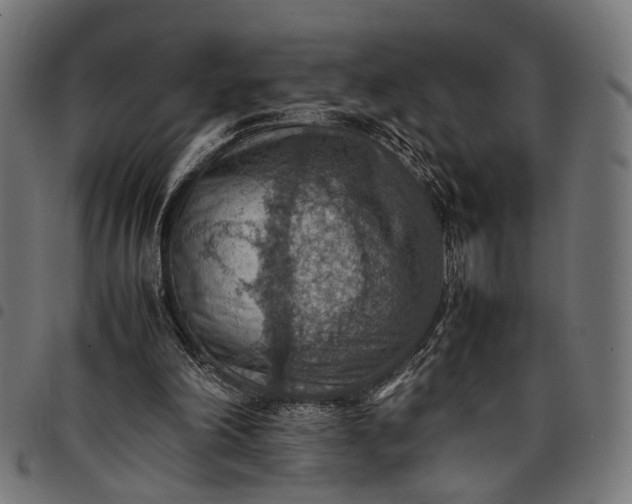 X0000097880198200803281231