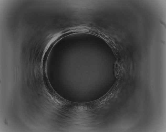 X0000097880200200803281231