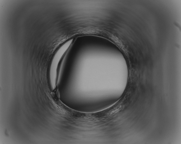 X0000097880201200803281231