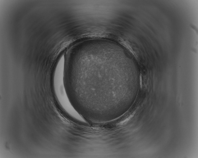 X0000097880205200803281231