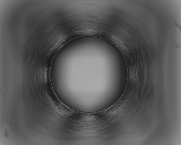 X0000097880206200803281231